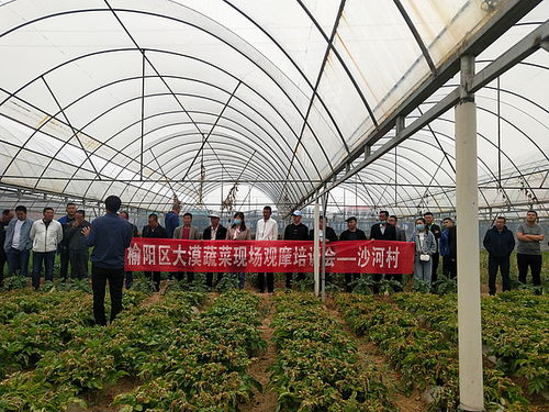 榆阳区园艺技术推广站开展新时代十万农民教育培训活动