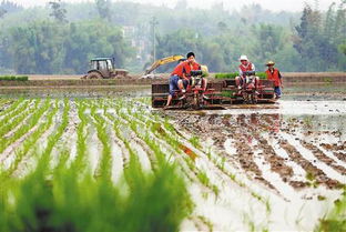 重庆大足推广农业机械化每年节省资金2亿多元